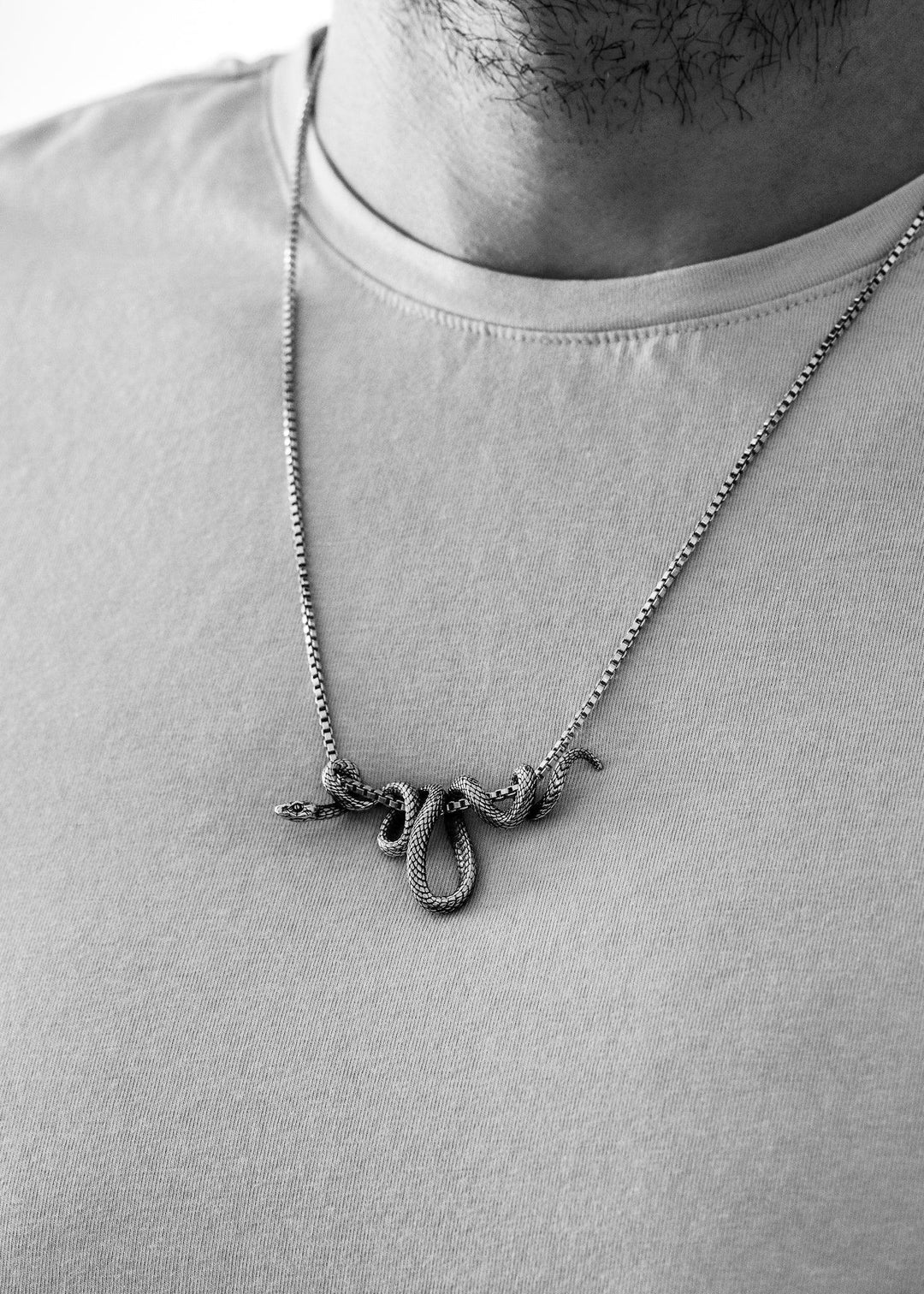 Serpent Silver Pendant